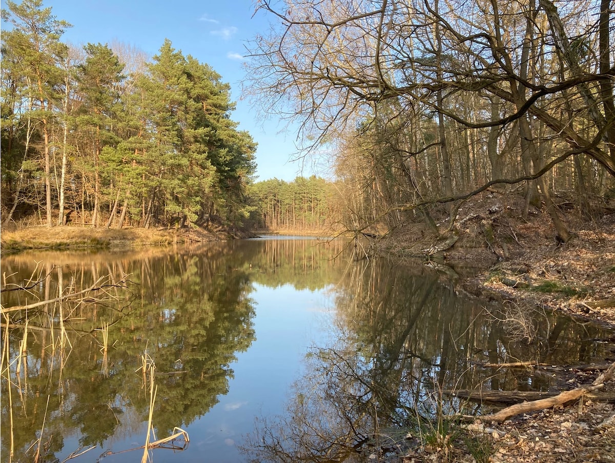 Idyllischer Bungalow Im Wald am See