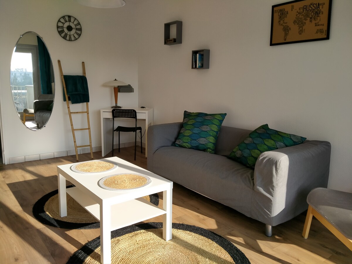 Nantes : Bel appartement spacieux et lumineux