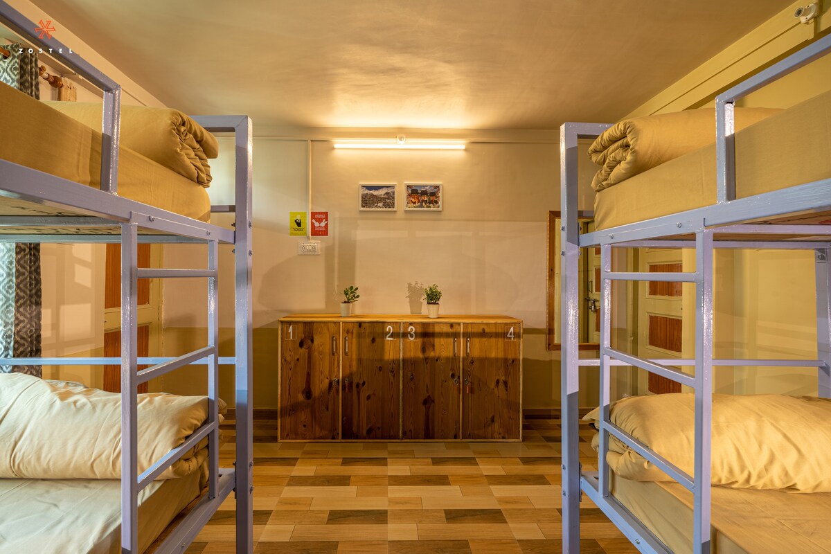 Zostel Sangla | 4床混合宿舍的床位