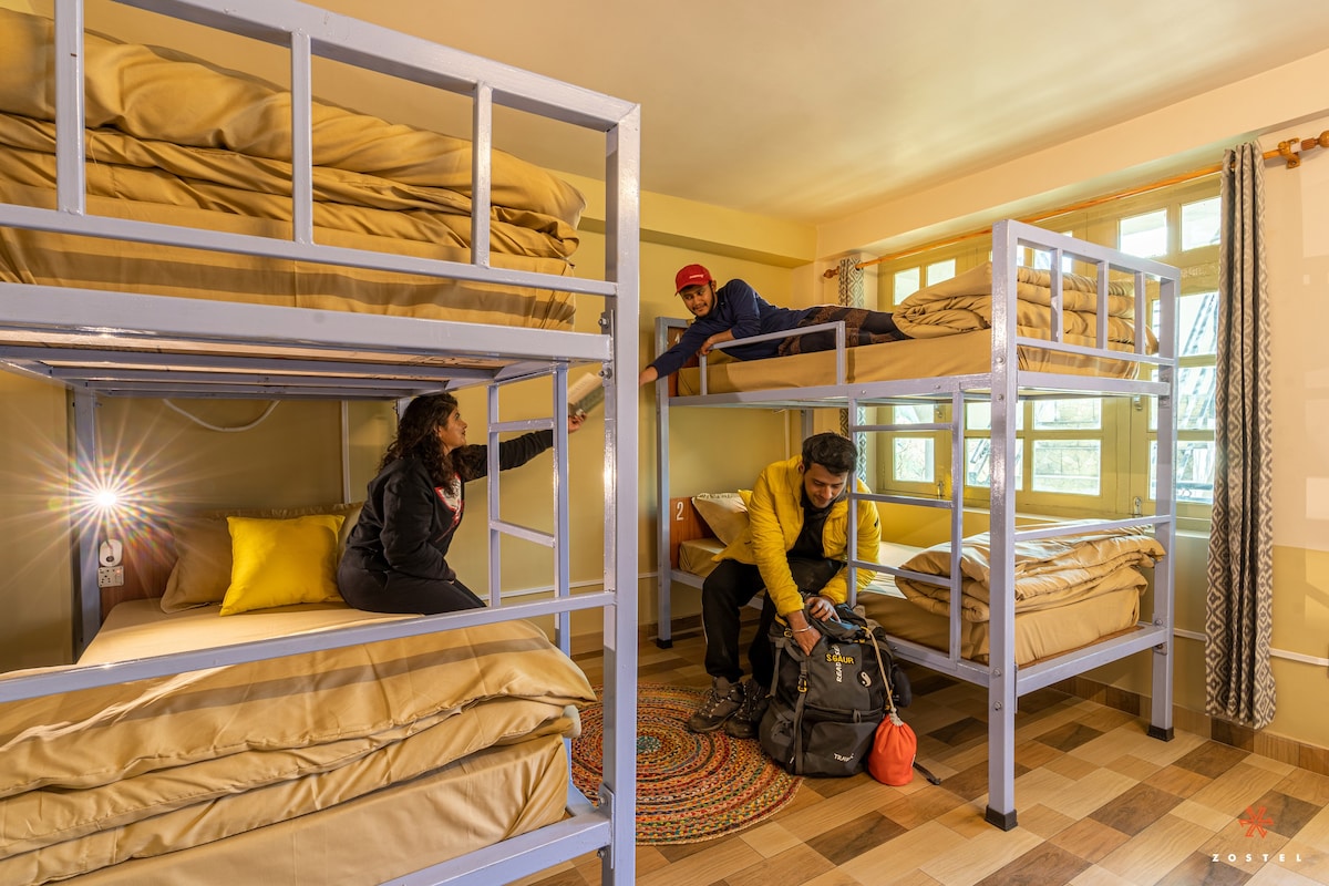 Zostel Sangla | 4床混合宿舍的床位