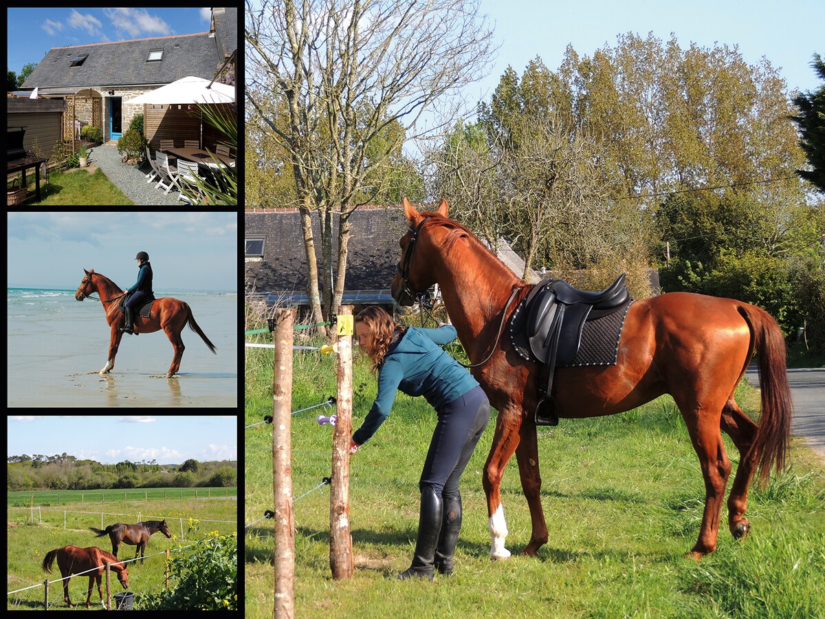 Gîte Mer avec chevaux_billard_babyfoot_ping-pong…