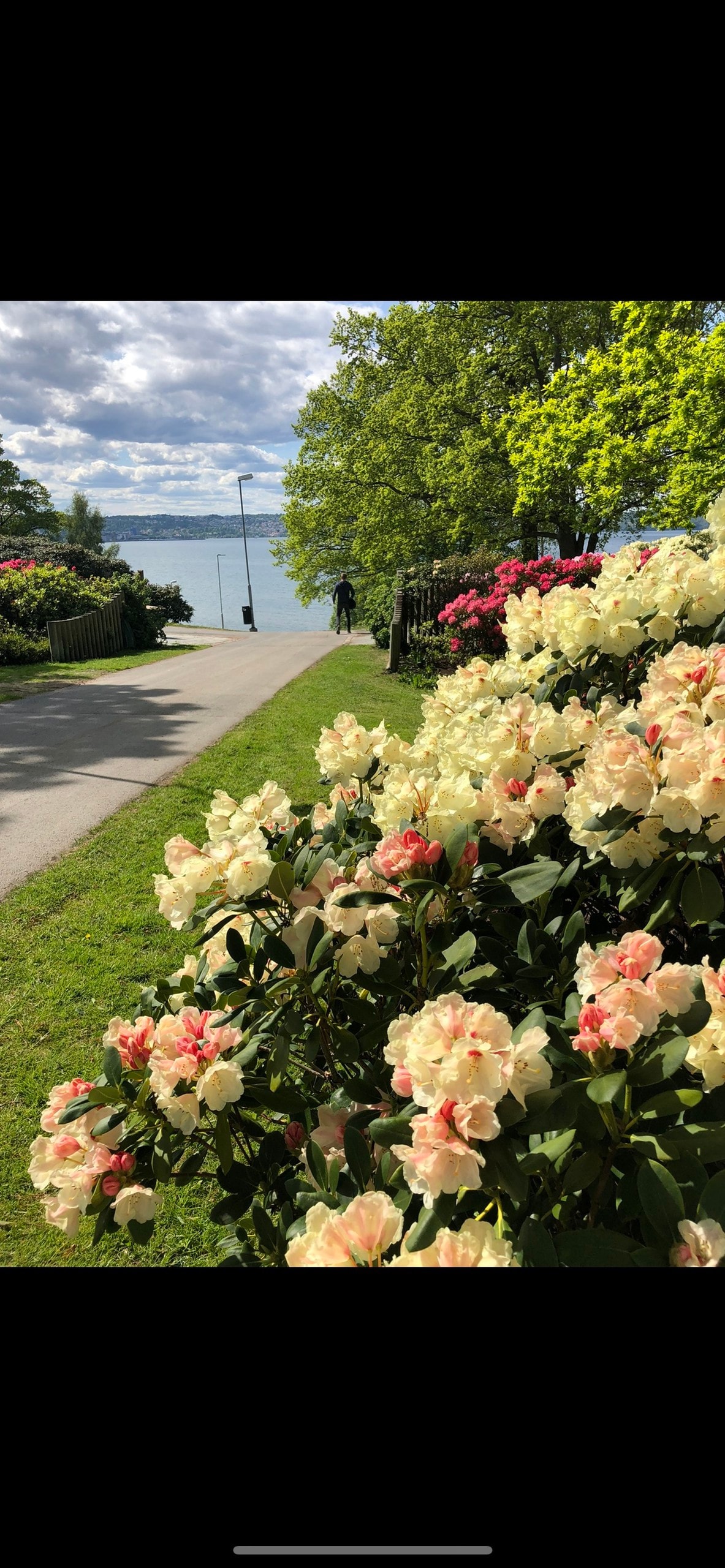 Selma别墅距离Vätstranden湖仅一步之遥