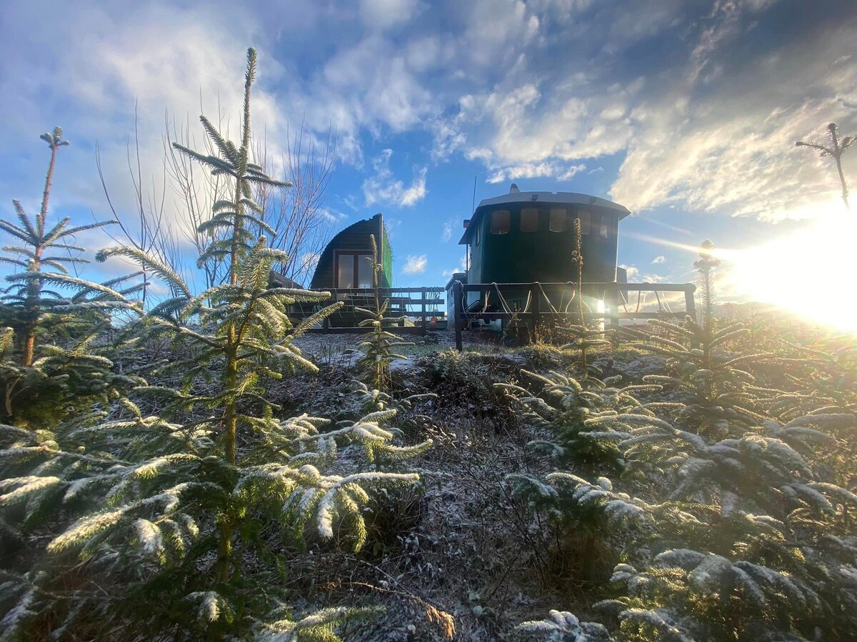 The Wheel House