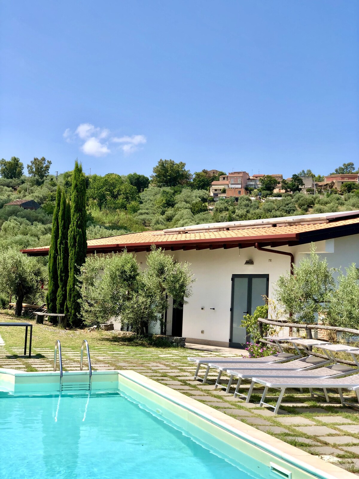 Villa Terreforti -带泳池的橄榄园
