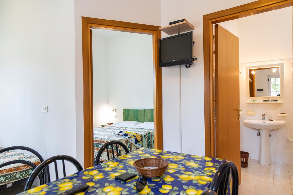 *221* 2/3 beds Apartment a Capo Vaticano -B-