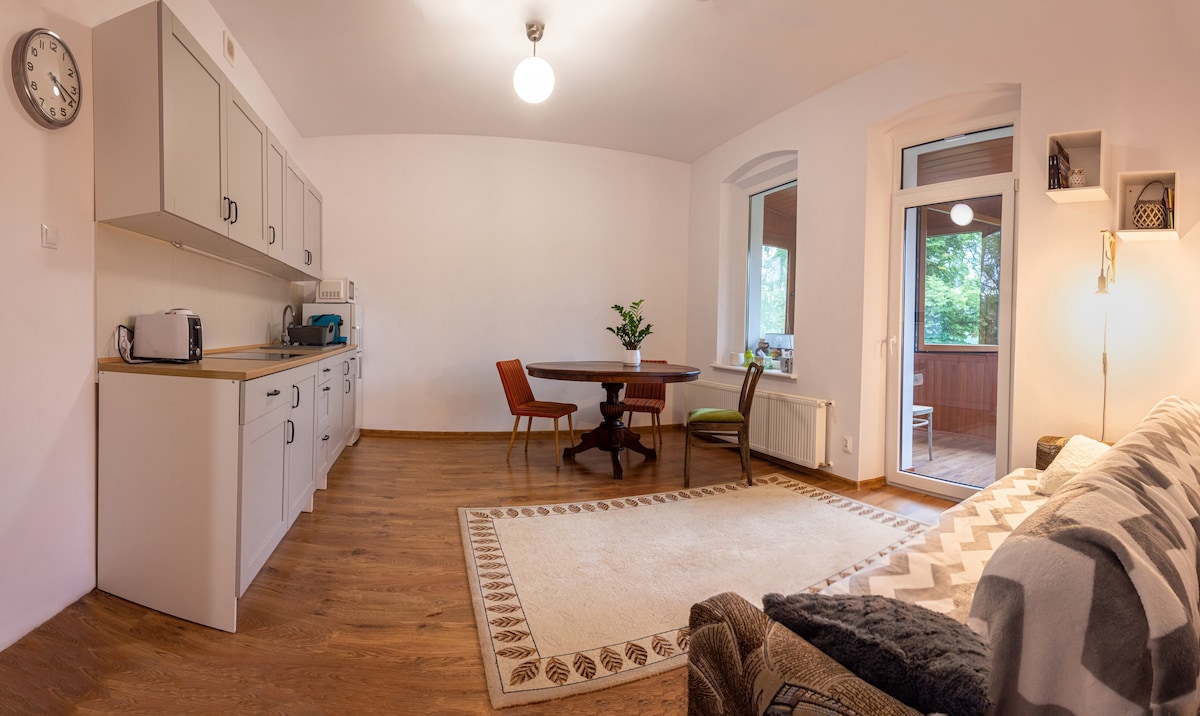 Brzozowe Wzgórze - apartament z widokiem na góry