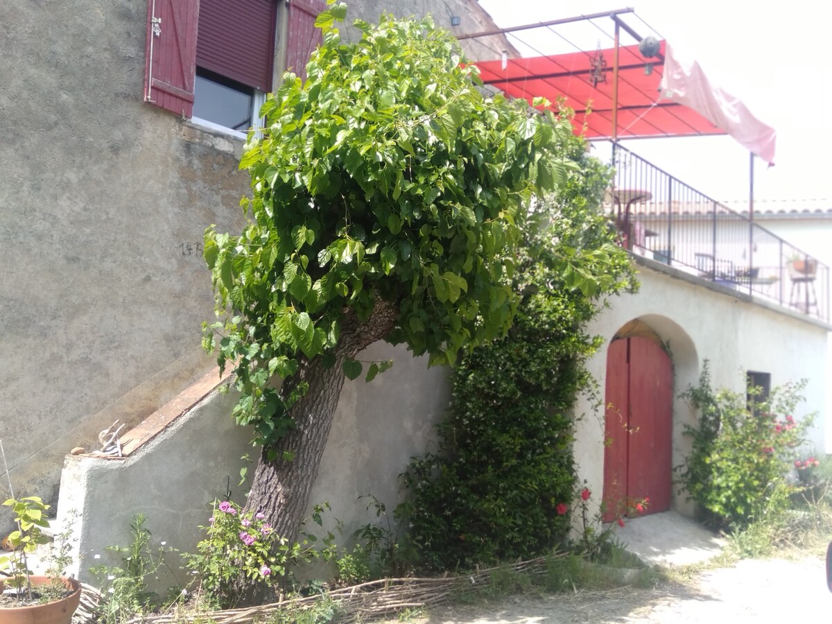 Maison chaleureuse 70m2 à 2min a pied de l'Hérault