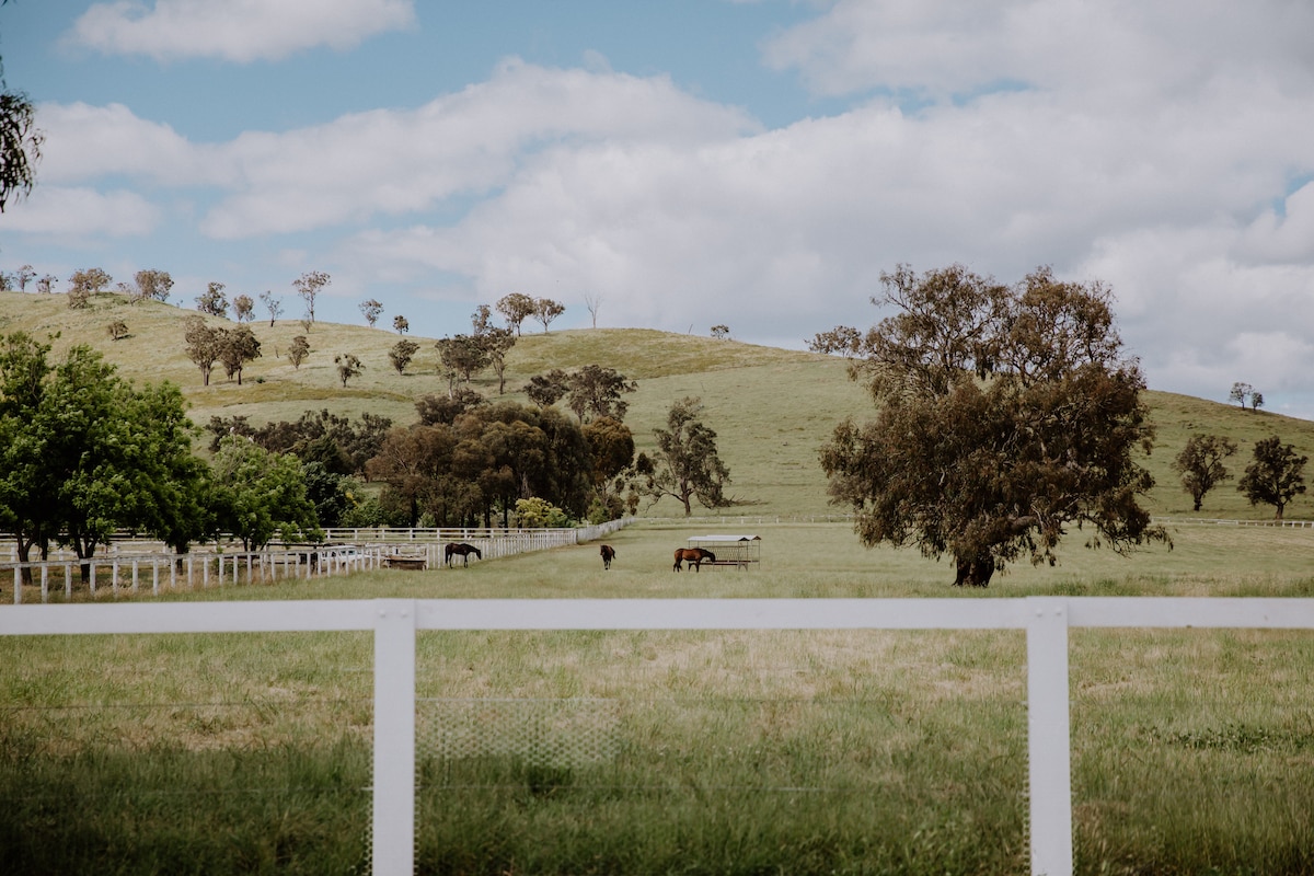 Mudgee - The Orchard Cottage - Gooree Farm Stays