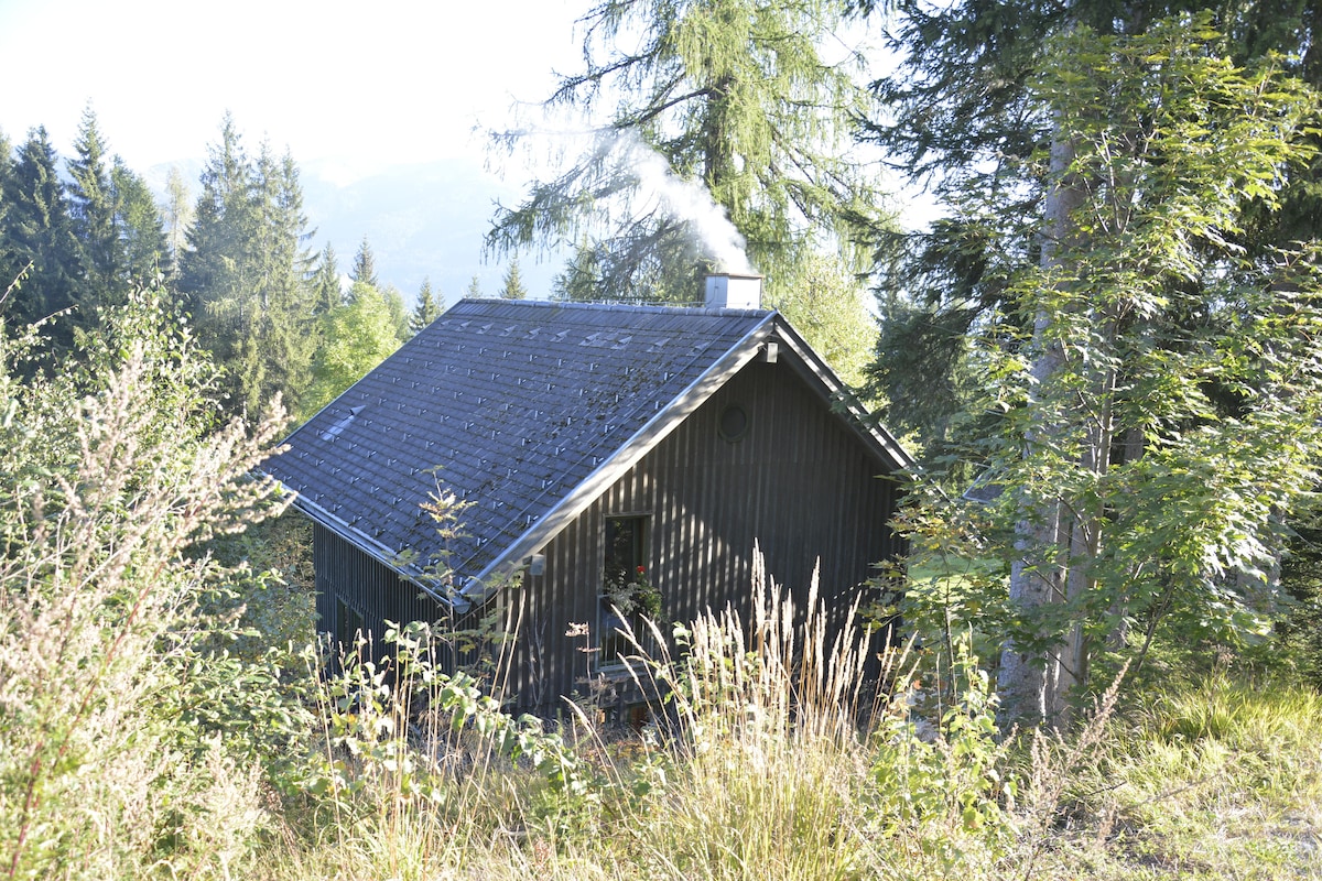 Almhütte am Verditz