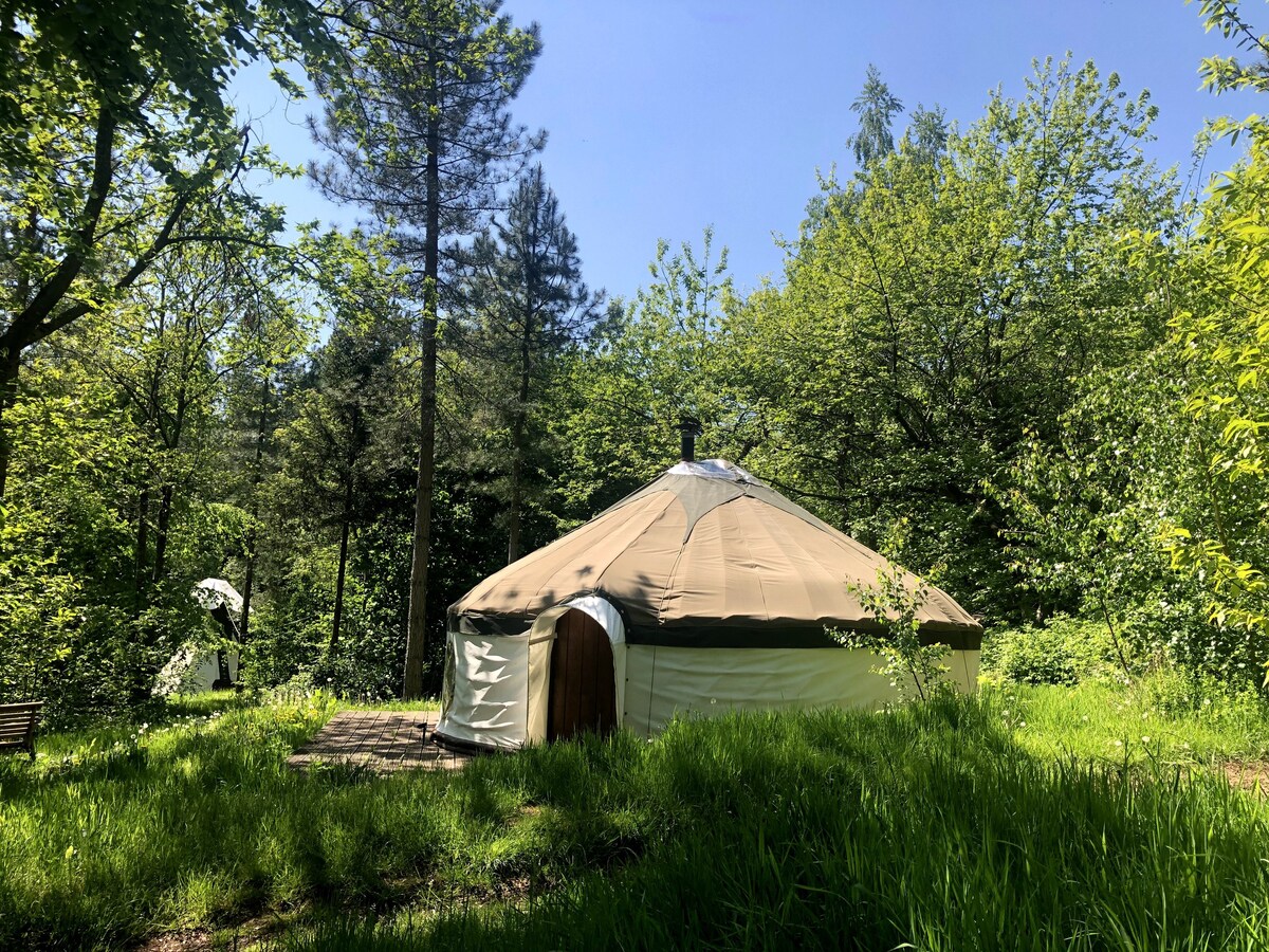 Woodpecker Yurt within 17 acres of forest* family