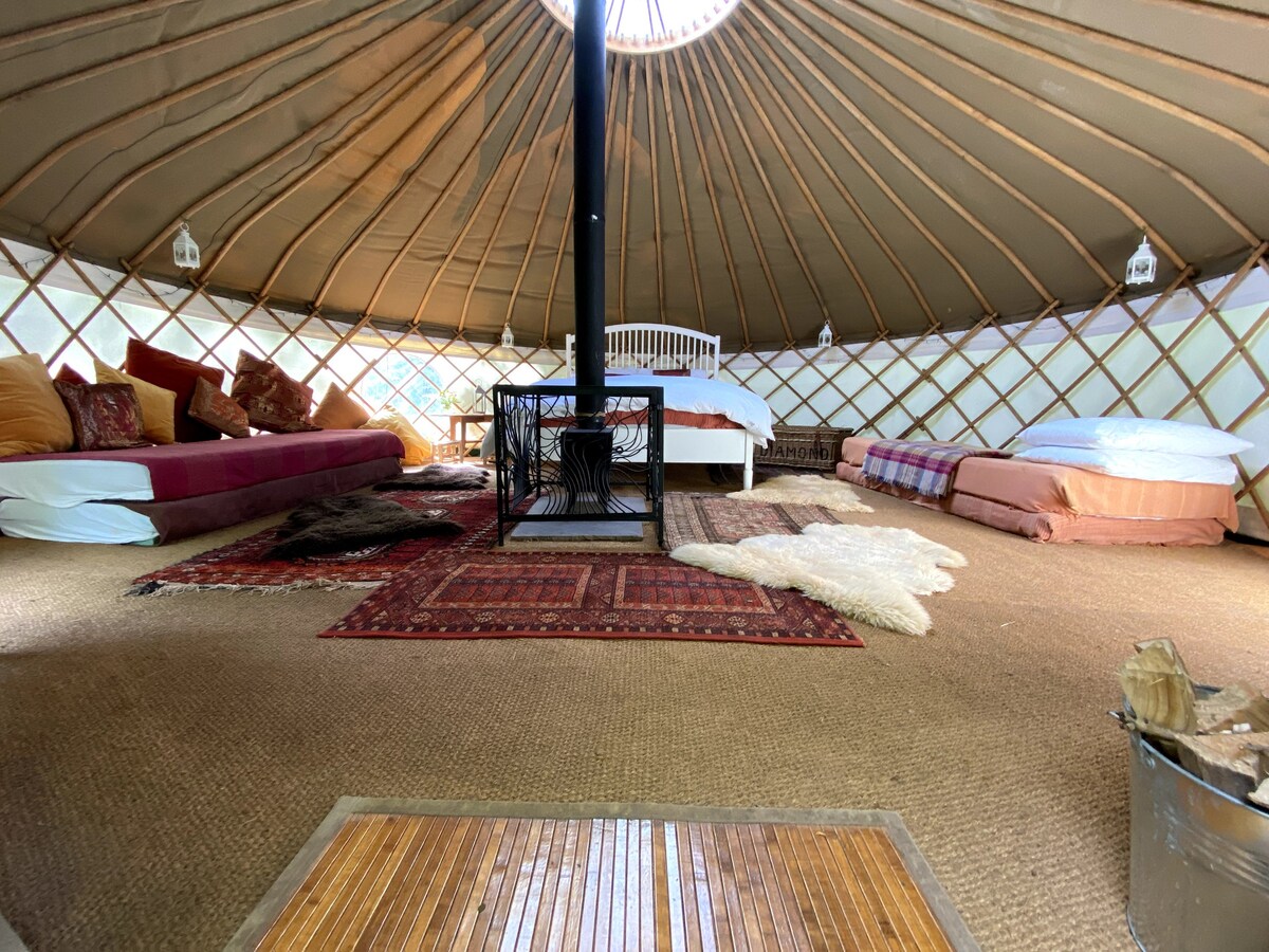 Woodpecker Yurt within 17 acres of forest* family