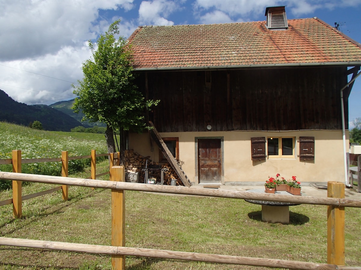 Charming chalet right on the ski slopes