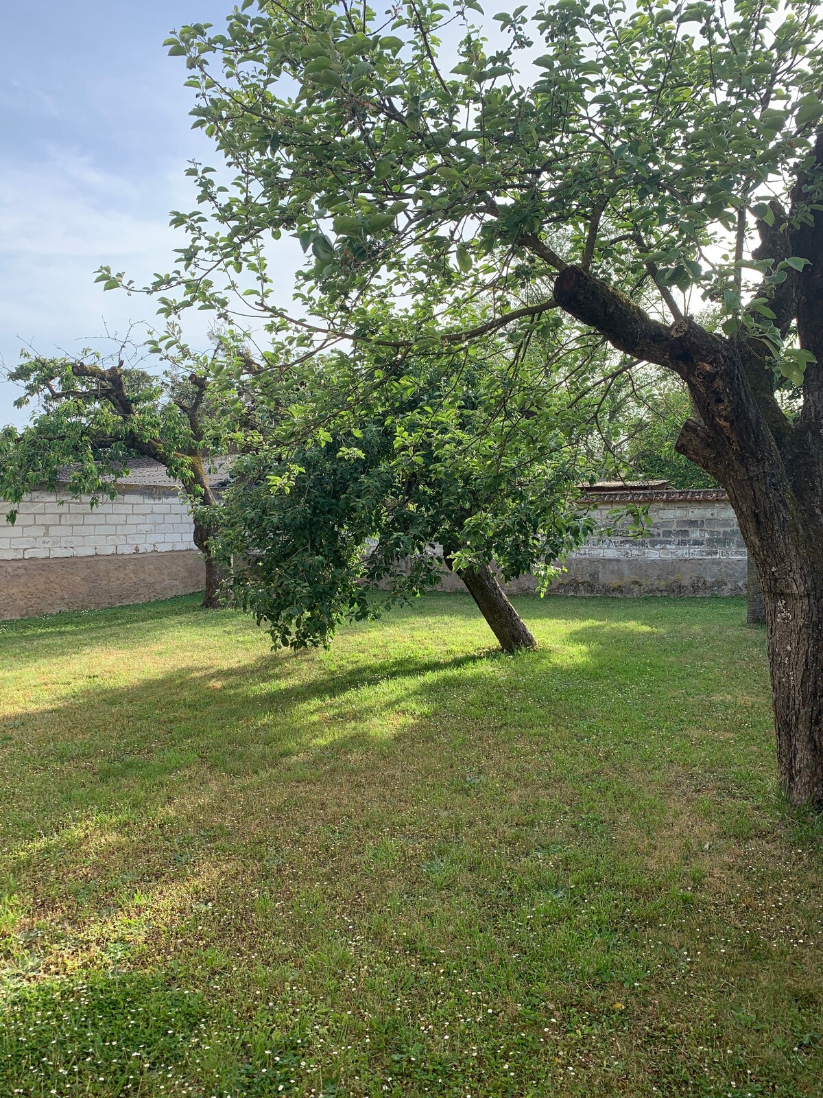 Maison chaleureuse au bord de l’Yonne