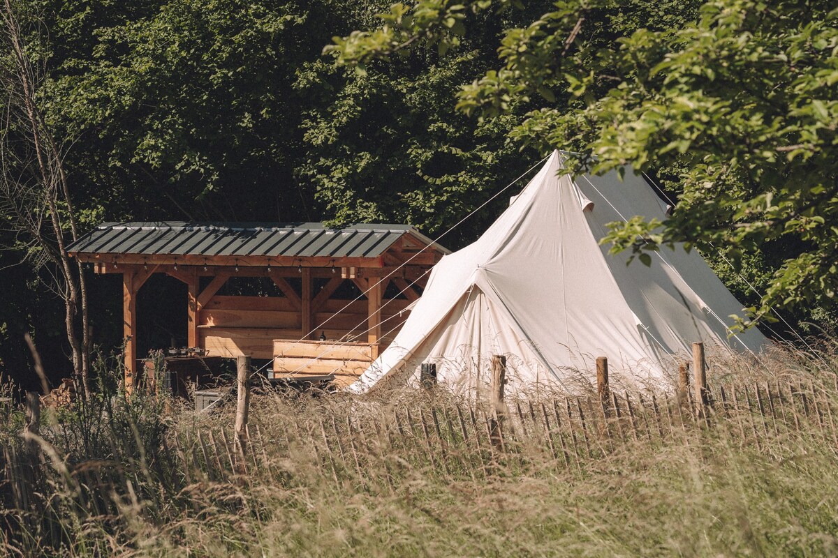 Glamping in the orchard, with a view