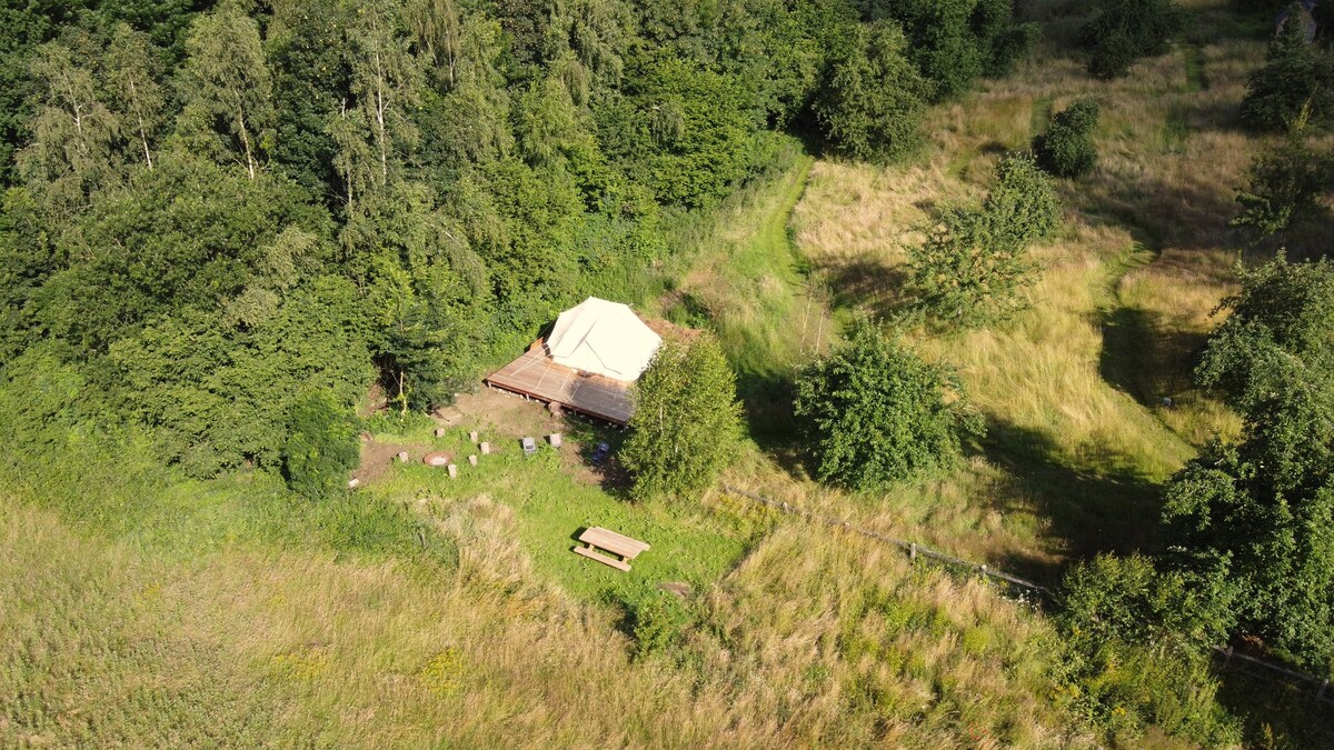 Glamping in the orchard, with a view