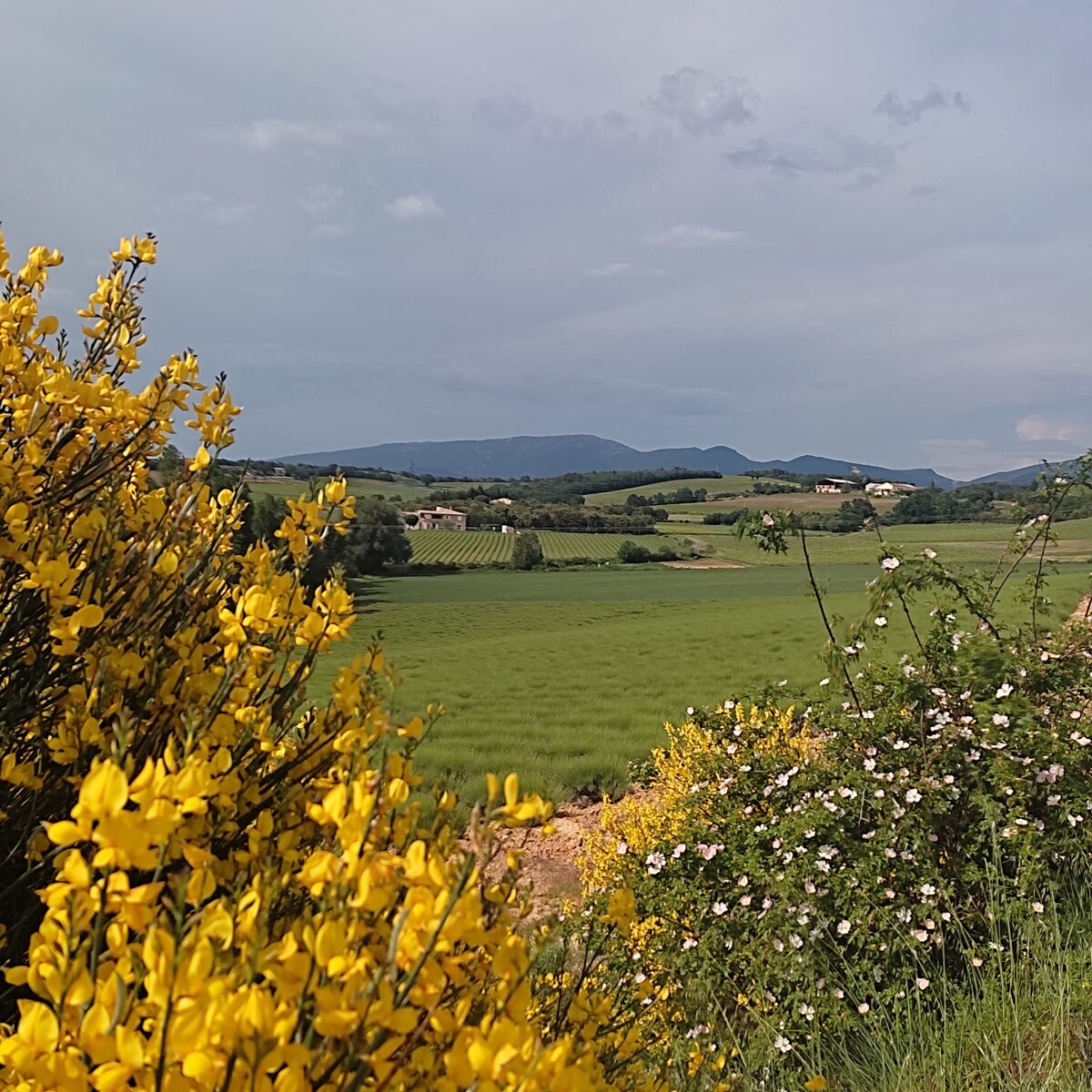 Retour à la nature en Provence