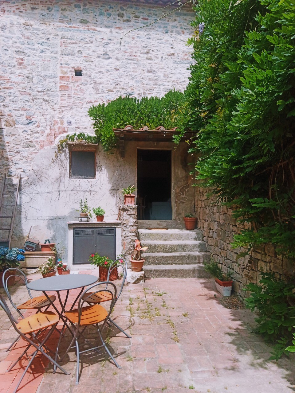 Casa nel bosco Scipitano - Fiesole