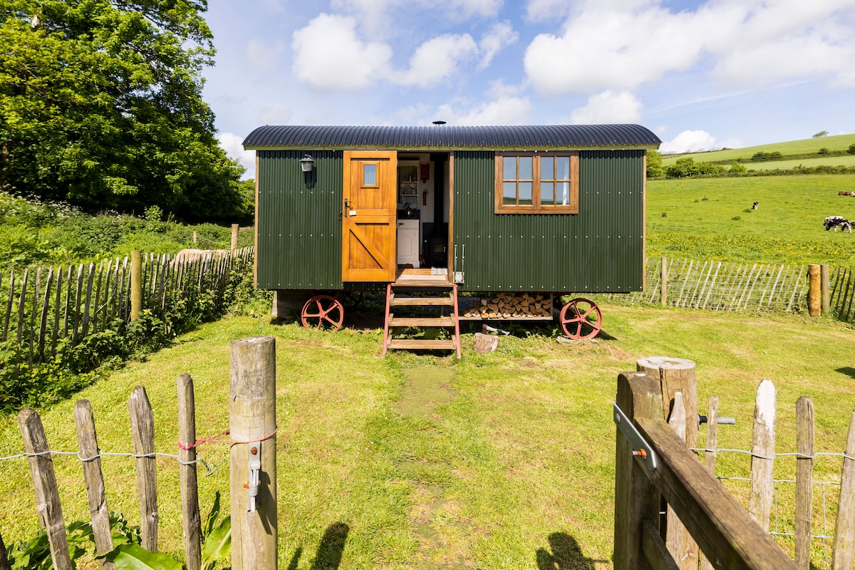 Frankshore Shepherds Hut