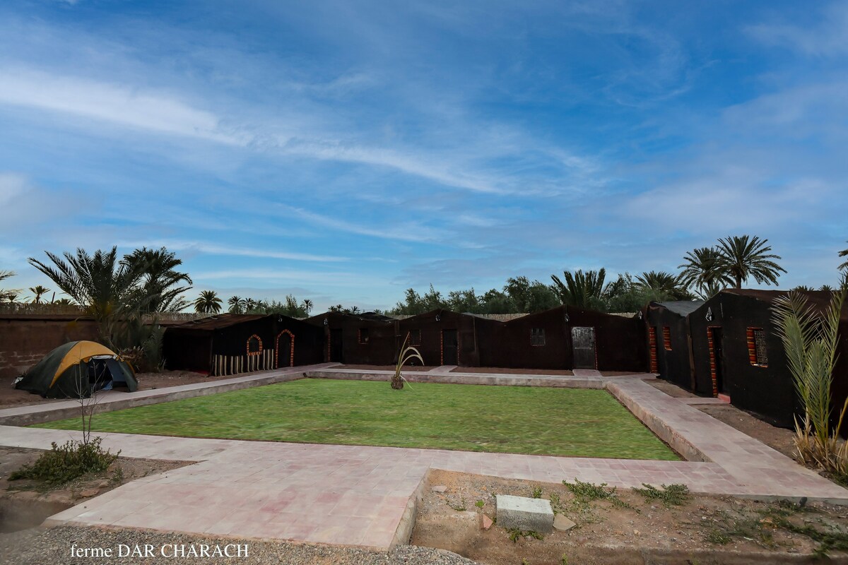 Private Tent Room "ouasis Fint" in the  farm