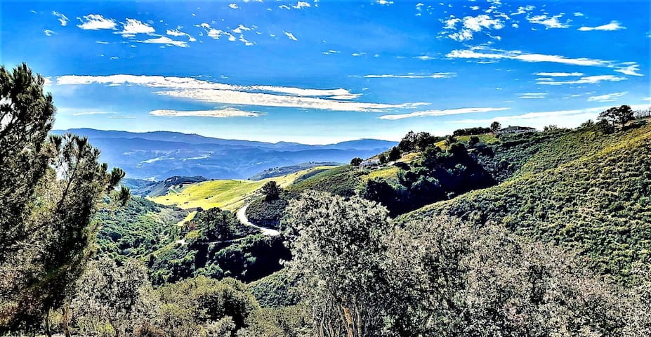 卡梅尔瓦利（Carmel Valley）的民宿