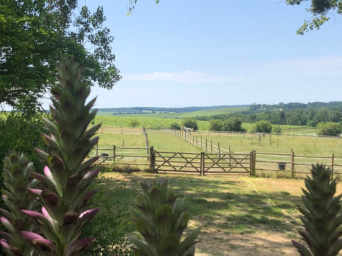 Charmante maison de campagne rénovée avec piscine