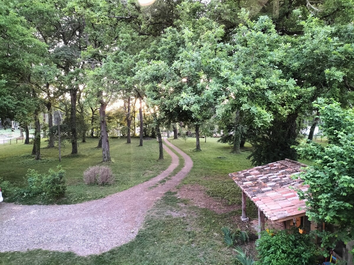 Ancienne métairie rénovée, au calme.