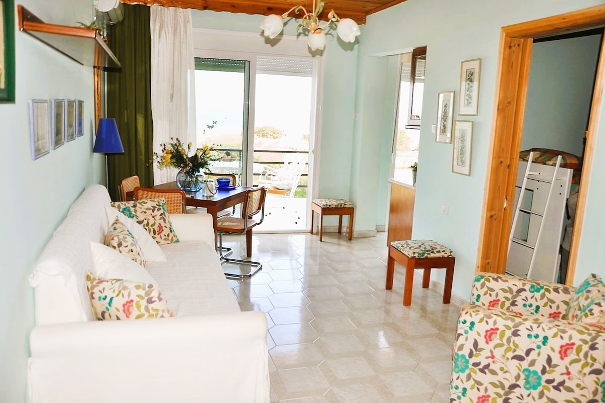 Beautiful Seaside Two-bedroom apartment