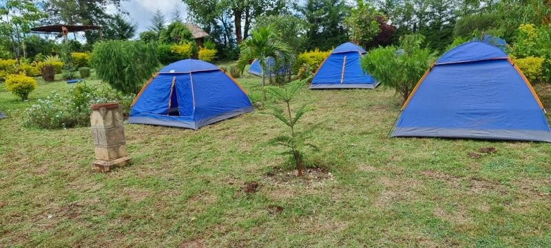 Spacious and tranquil campsite at a fruit farm