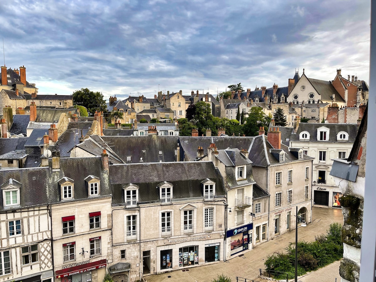 ☆ 在Blois ☆ T2的屋顶上欣赏城堡美景