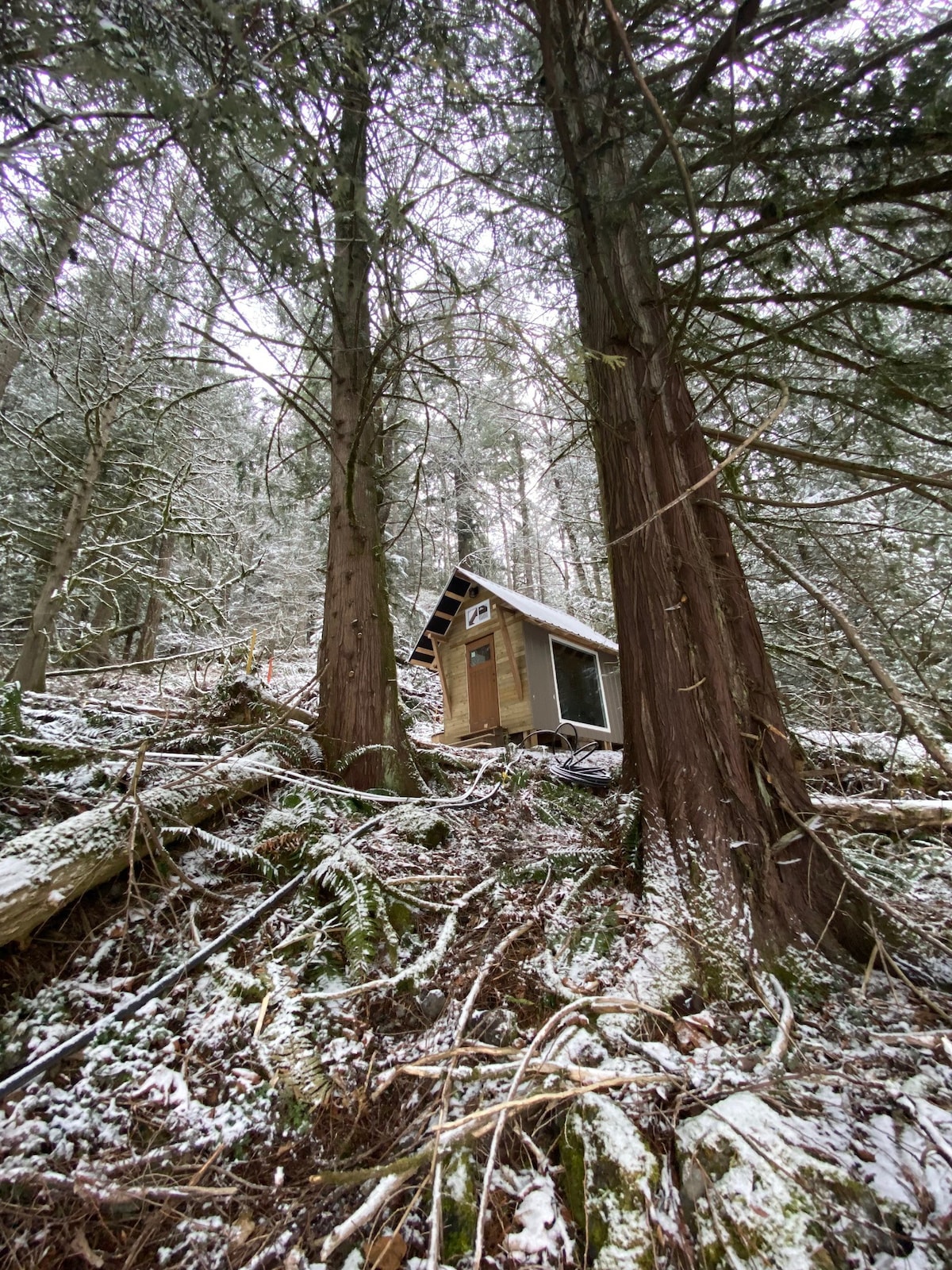令人惊叹的乡村林地迷你小木屋建于2023年！