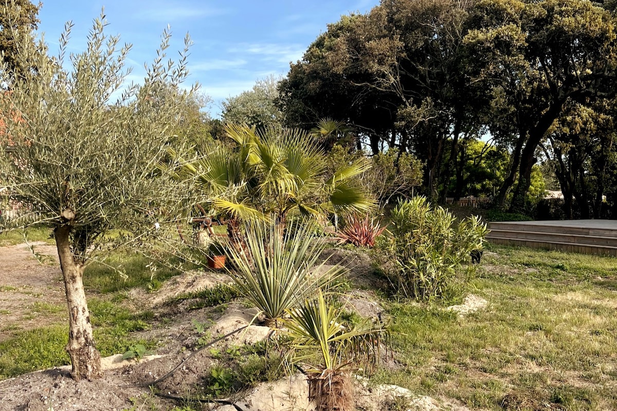 Magnifique villa soulacaise, vue sur océan.