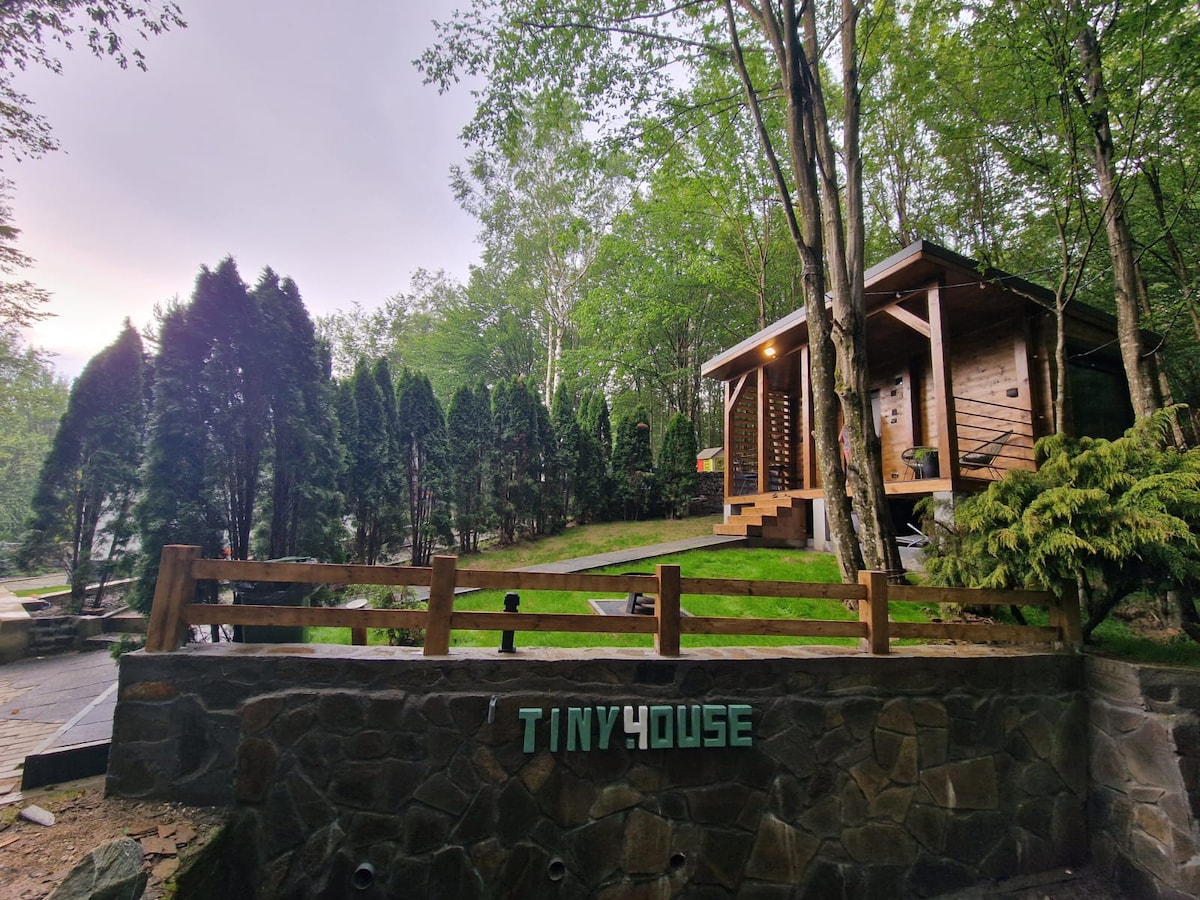 Tiny House 4 Two