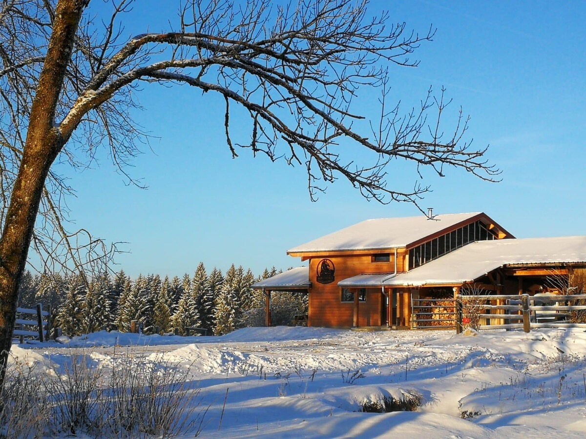 Chalureux et Convivial Lodge