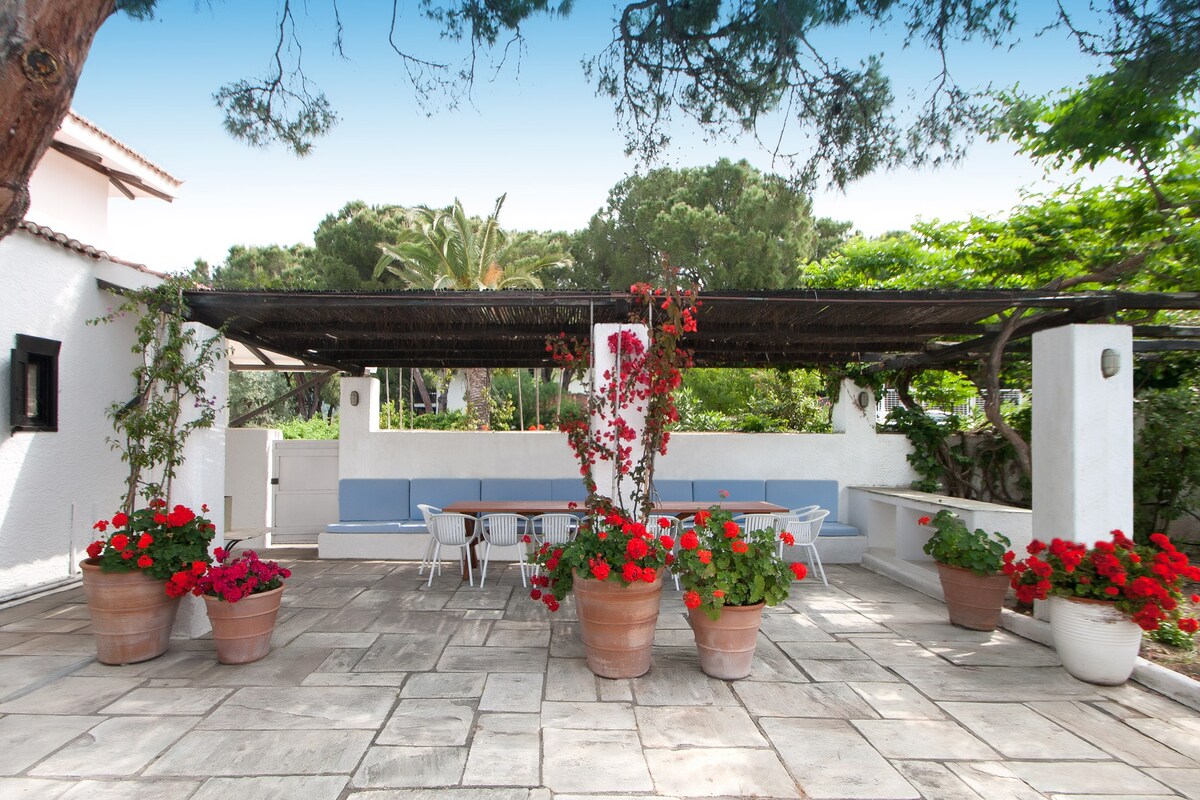 The Azero Villa Skiathos