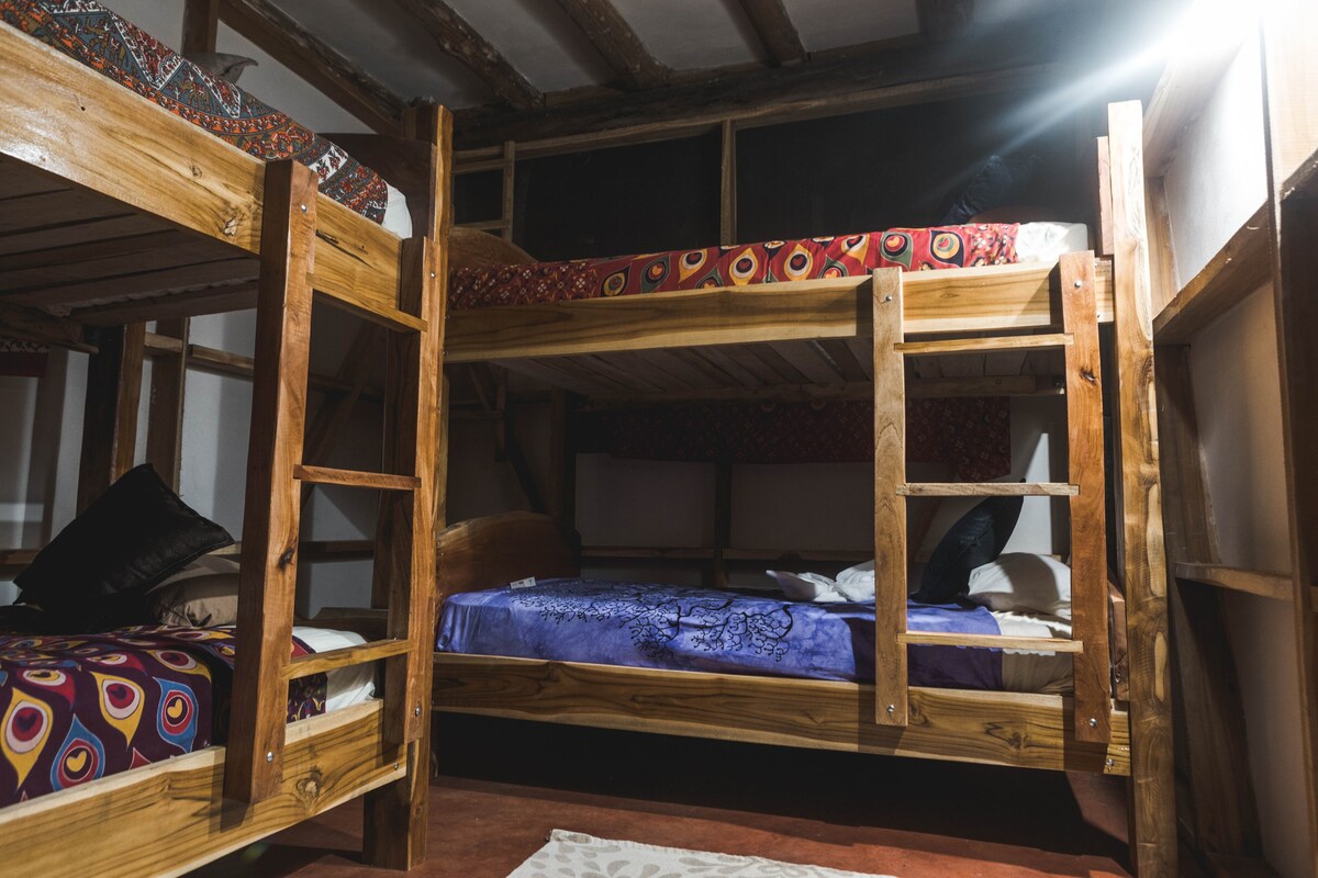 Shared Dorm Room In The Jungle of Costa Rica!