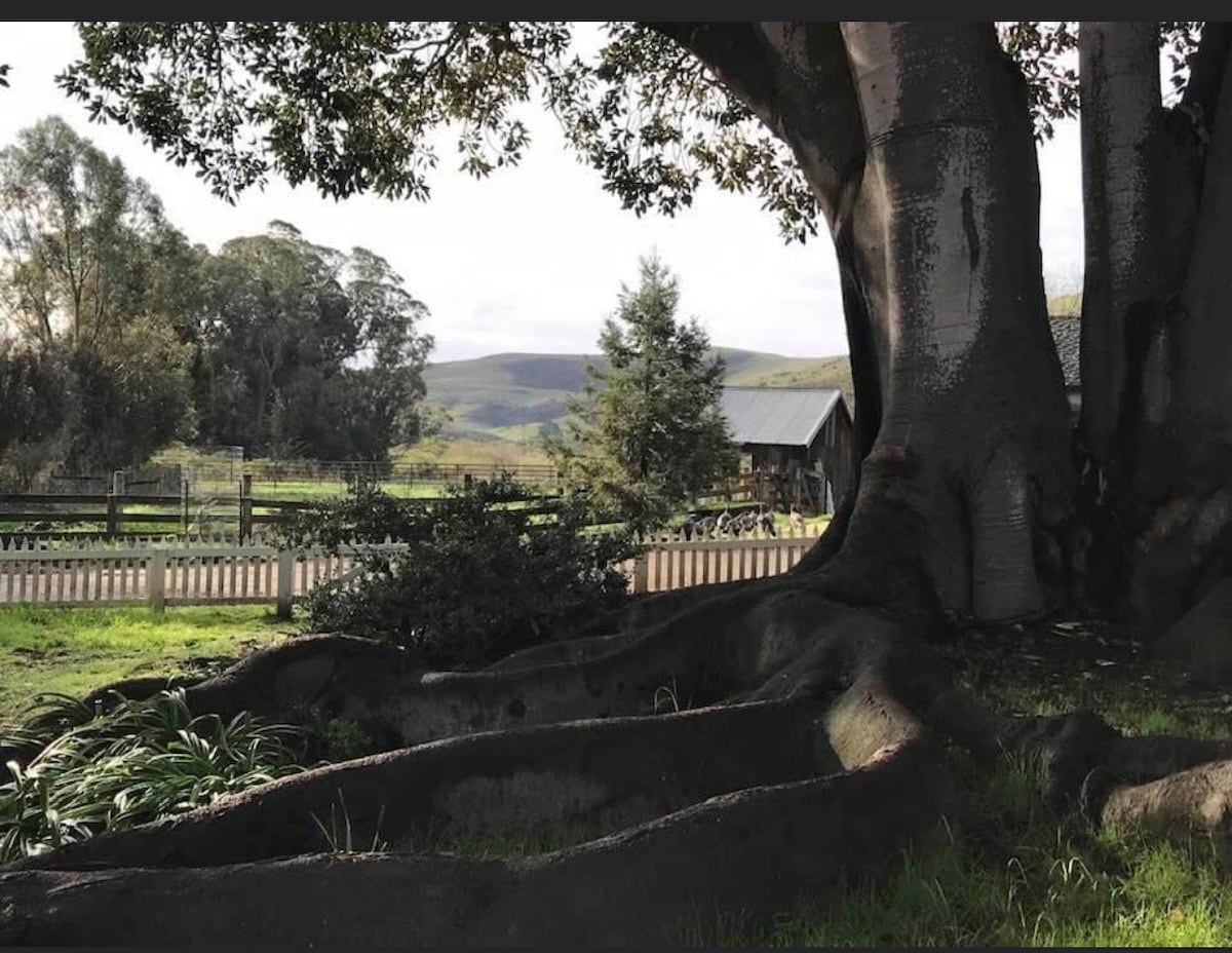 Caretakers Cottage Fairchild Ranch, Cayucos