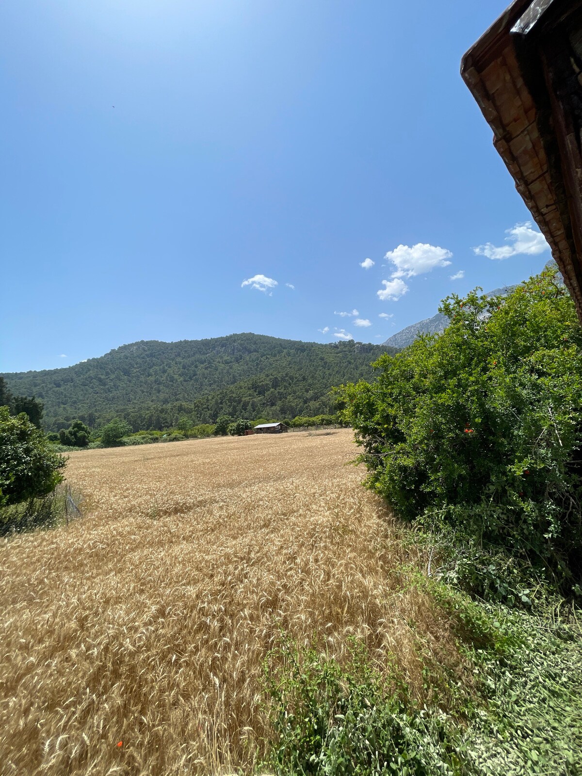 Kemer beldibi yaz-kis mustakil ev