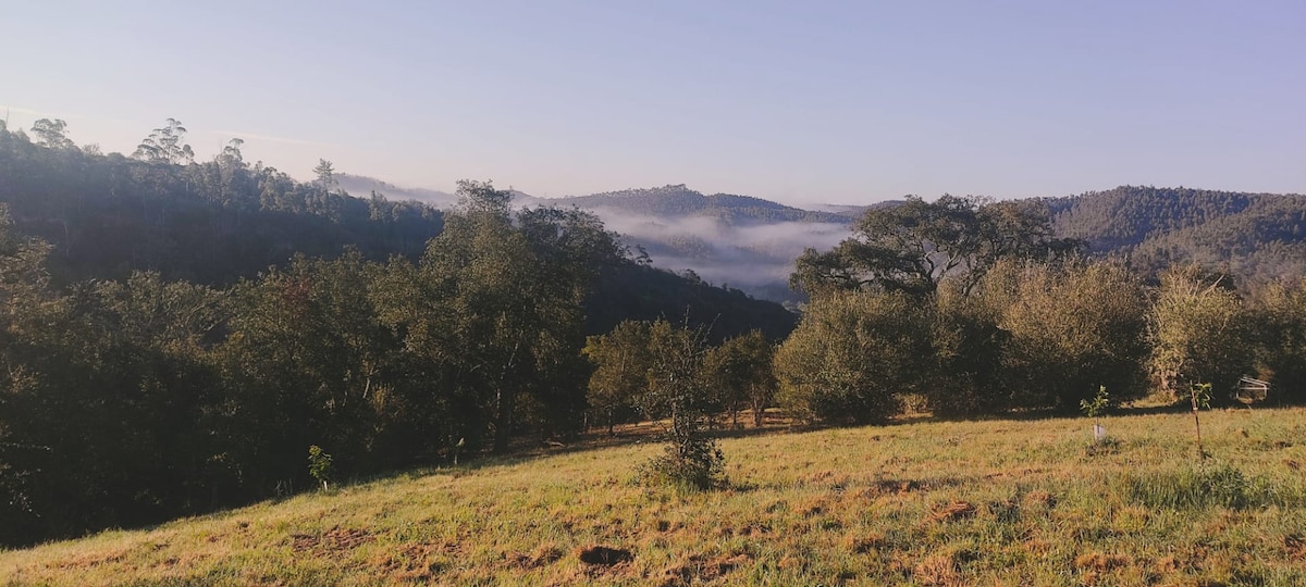 位于维森蒂纳海岸自然公园（ Costa Vicentina Natural Park ）的中心地带，套房