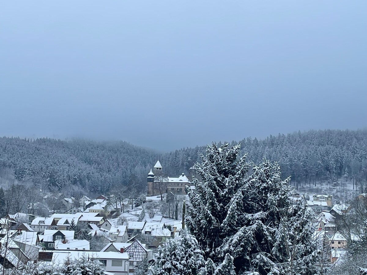 Großer und gemütlicher Bungalow im Thüringer Wald