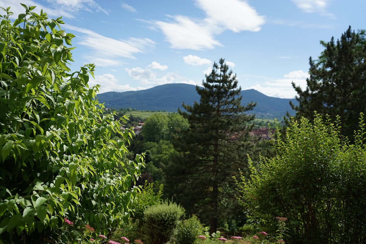 俯瞰圣奥迪尔山（ Mont Sainte-Odile ）的迷人单间公寓