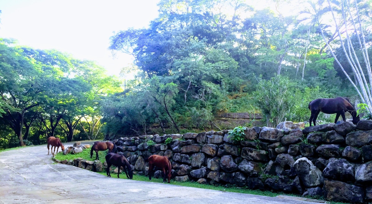 Viva en el  paraíso con piscinas, selva y catarata