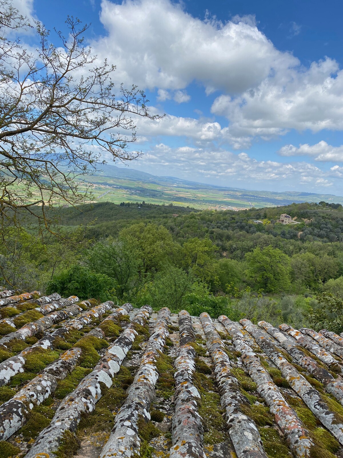 La nicchia del borgo