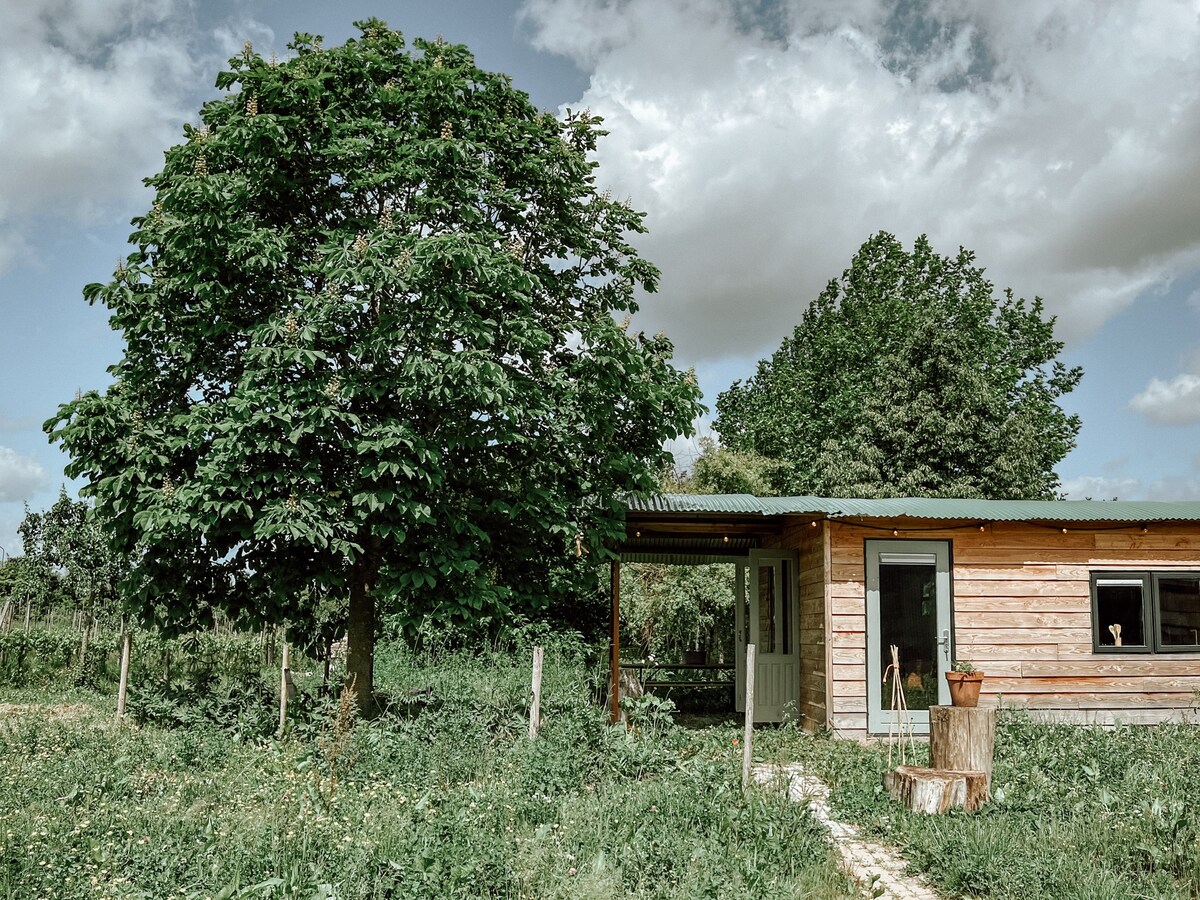 Cosy Container House bij een Biologische Boerderij