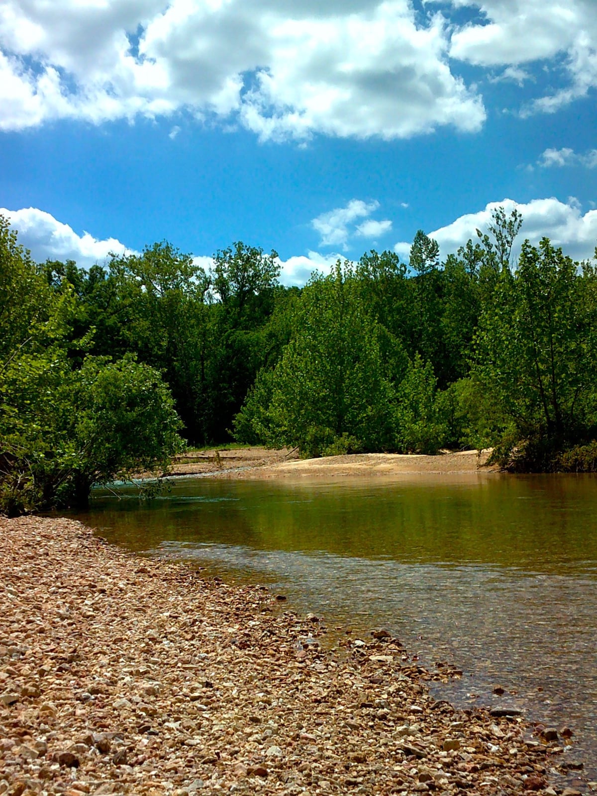 Secluded, quiet campsite on Sinkin Creek.