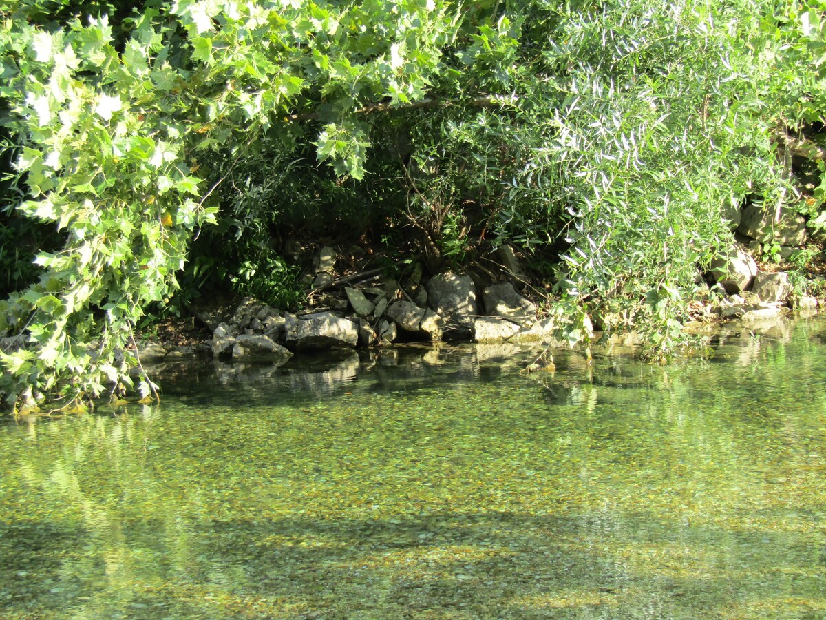 Secluded, quiet campsite on Sinkin Creek.