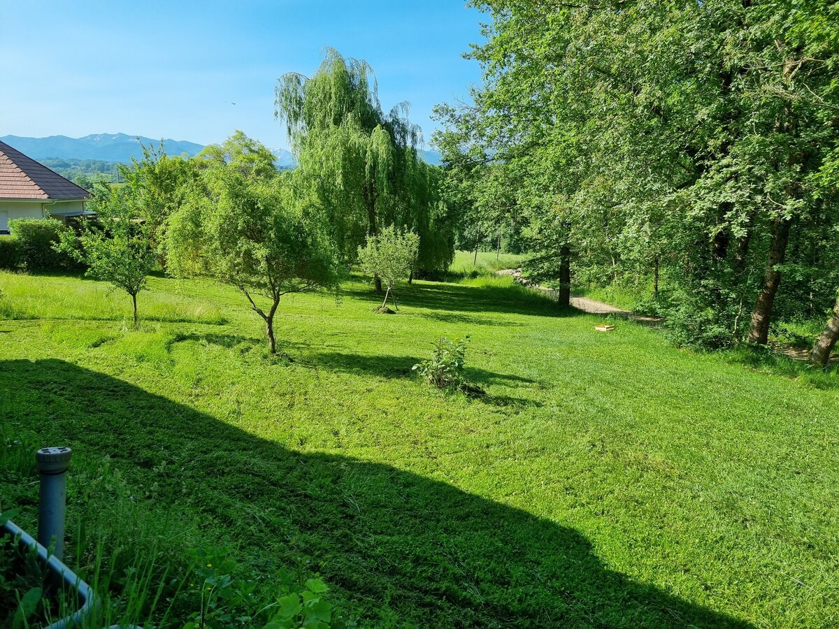 Maison chaleureuse entourée de nature