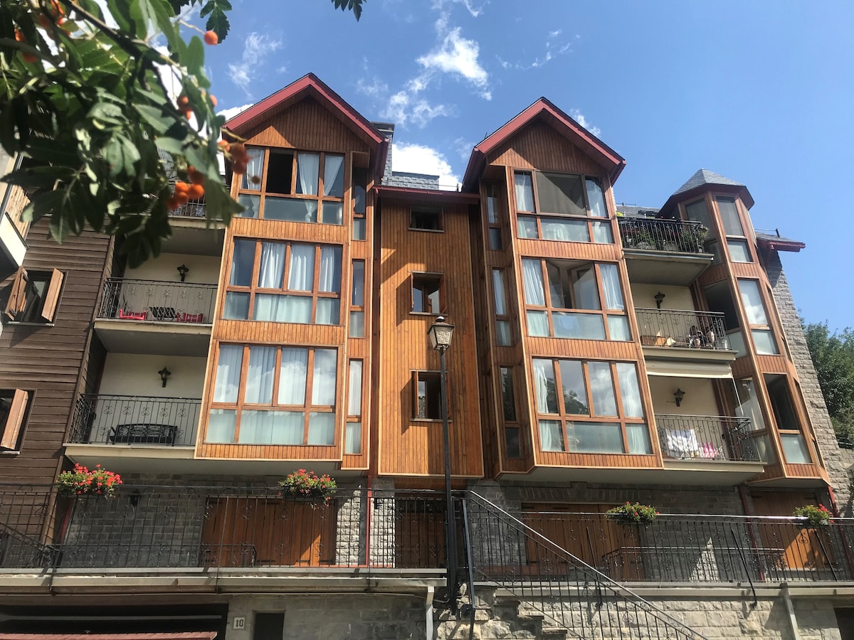 Cozy apartment in Panticosa