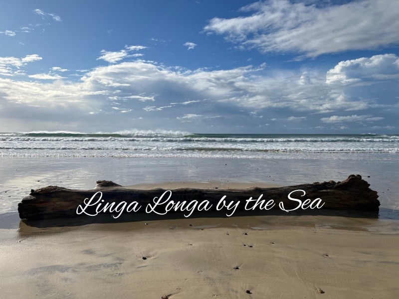 Linga Longa by the Sea - Harrington