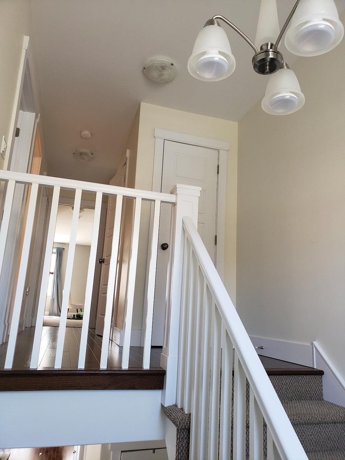 Beautiful 3-bedroom house close to Hfx downtown