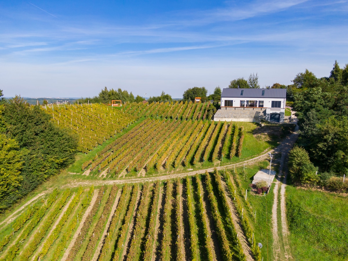 酿酒师小屋